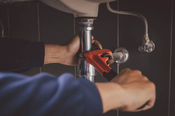 Best Faucet Repair  in Skidaway Island, GA